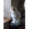 collier  selon lakhovsky pour chat