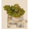 pyromorphite