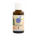 Elixir d’Hémimorphite et Bourgeons d’Eglantier , Cassis , Séquoia