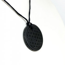 Pendentif Shungite Fleur de...