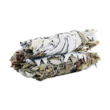 Fagot de Sauge Blanche & noire