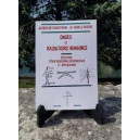 ondes et radiations humaines