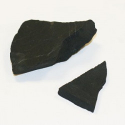 shungite