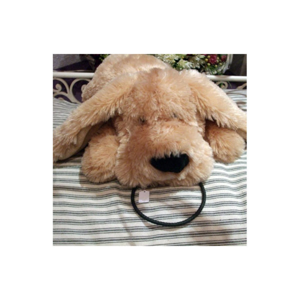collier type lakhovsky pour chien
