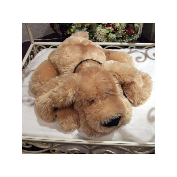 collier type lakhovsky pour chien