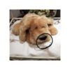 collier type lakhovsky pour chien