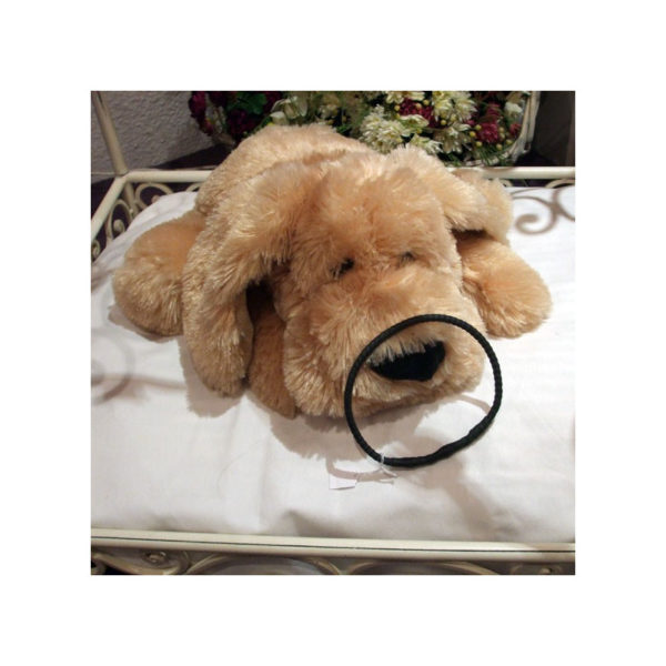collier type lakhovsky pour chien
