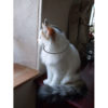 collier selon lakhovsky pour chat