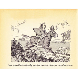 collier type lakhovsky pour cheval