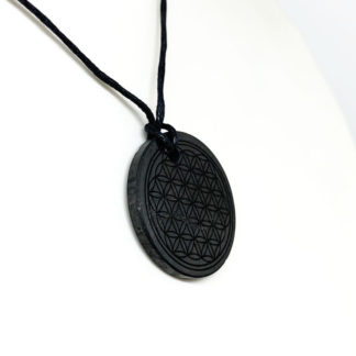 Pendentif Shungite Fleur de vie
